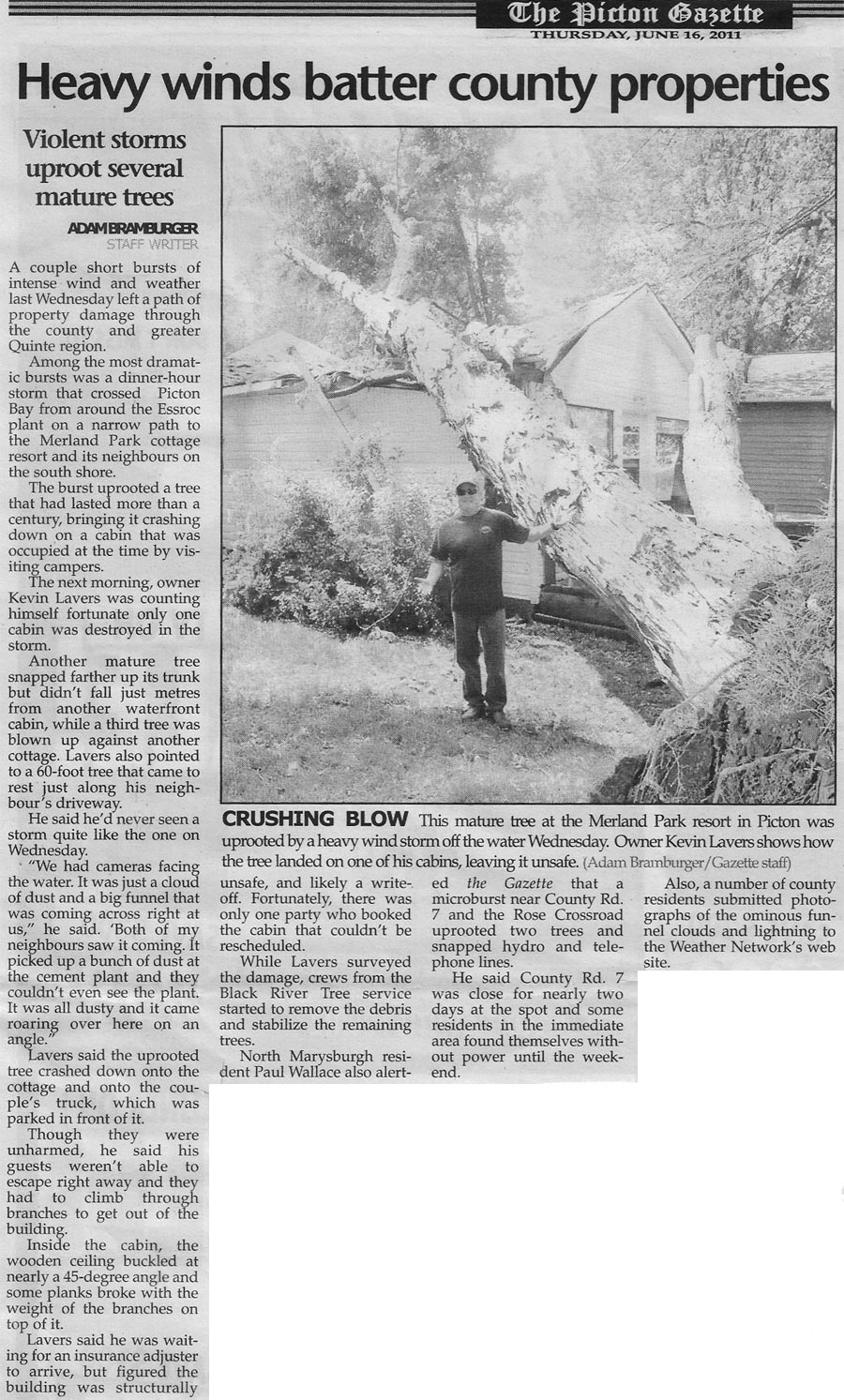 Picton Gazette article about fallen tree.