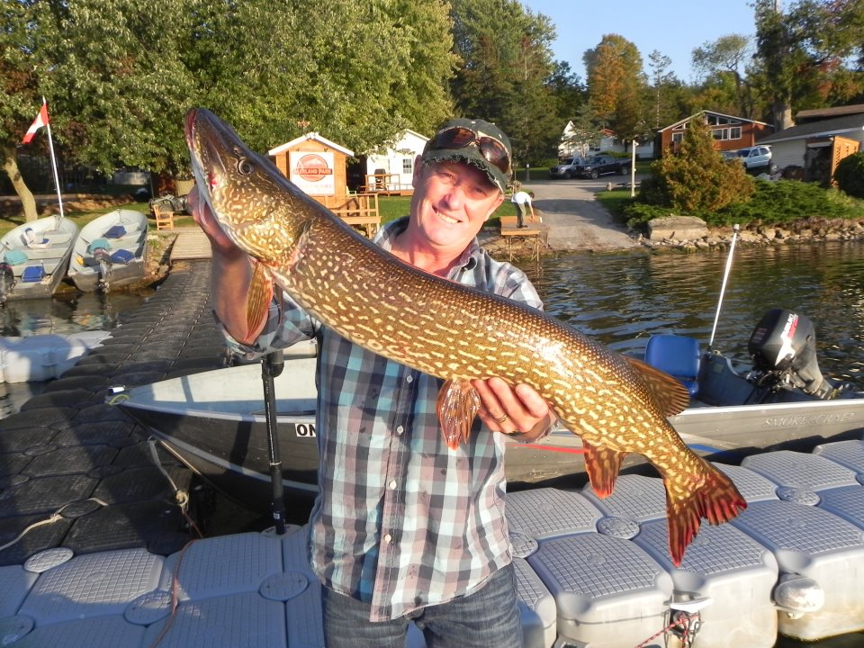 Big 15lb Pike caught on Bay of Quinte