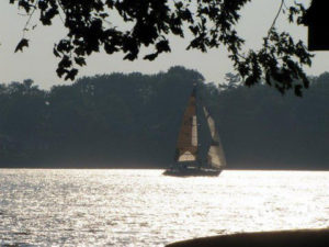 Sailboat on the Bay